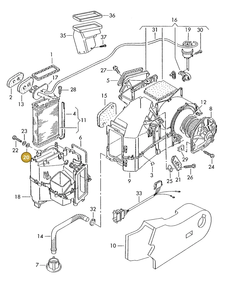 803955637 — Volkswagen TRANSPORTER SYNCRO (1996-2003) diagram 230819180, position 20