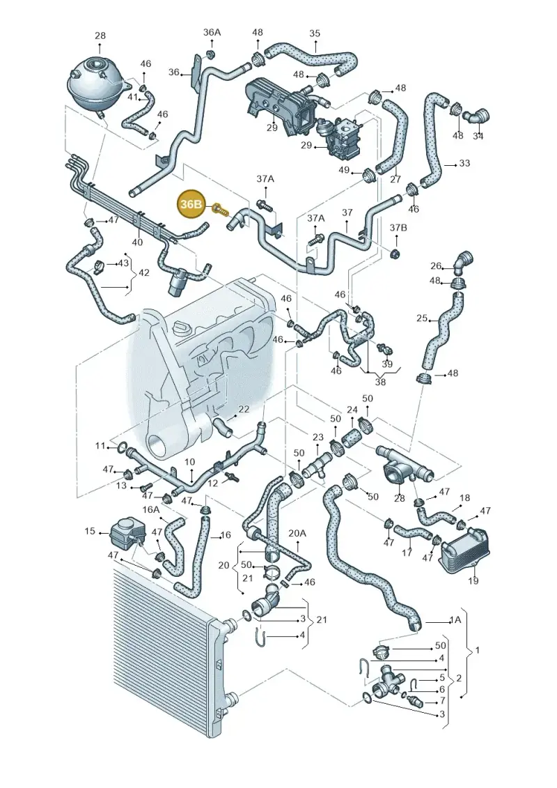 N10009104 — Volkswagen Passat/4Motion (2005-2007) diagram 409121400, position 36B