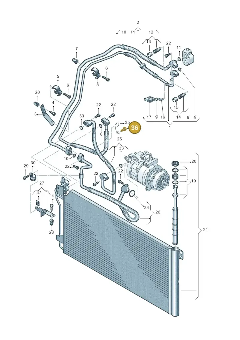 N10009104 — Volkswagen TRANSPORTER OFFEN (7J) 07 (2006-2007) diagram 612820200, position 36