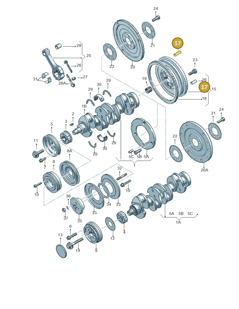 N10116801 — Volkswagen Passat (1997-2000) diagram 123105150, position 17