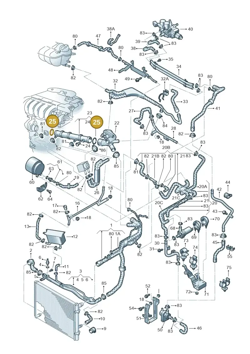 N10139201 — Volkswagen PHAETON                08> (2007-) diagram 258121300, position 25