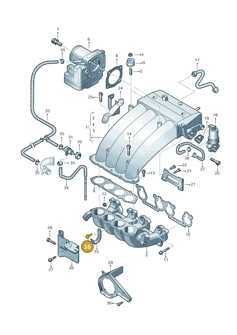 N10248001 — Volkswagen Sharan (2008-2010) diagram 244133100, position 16