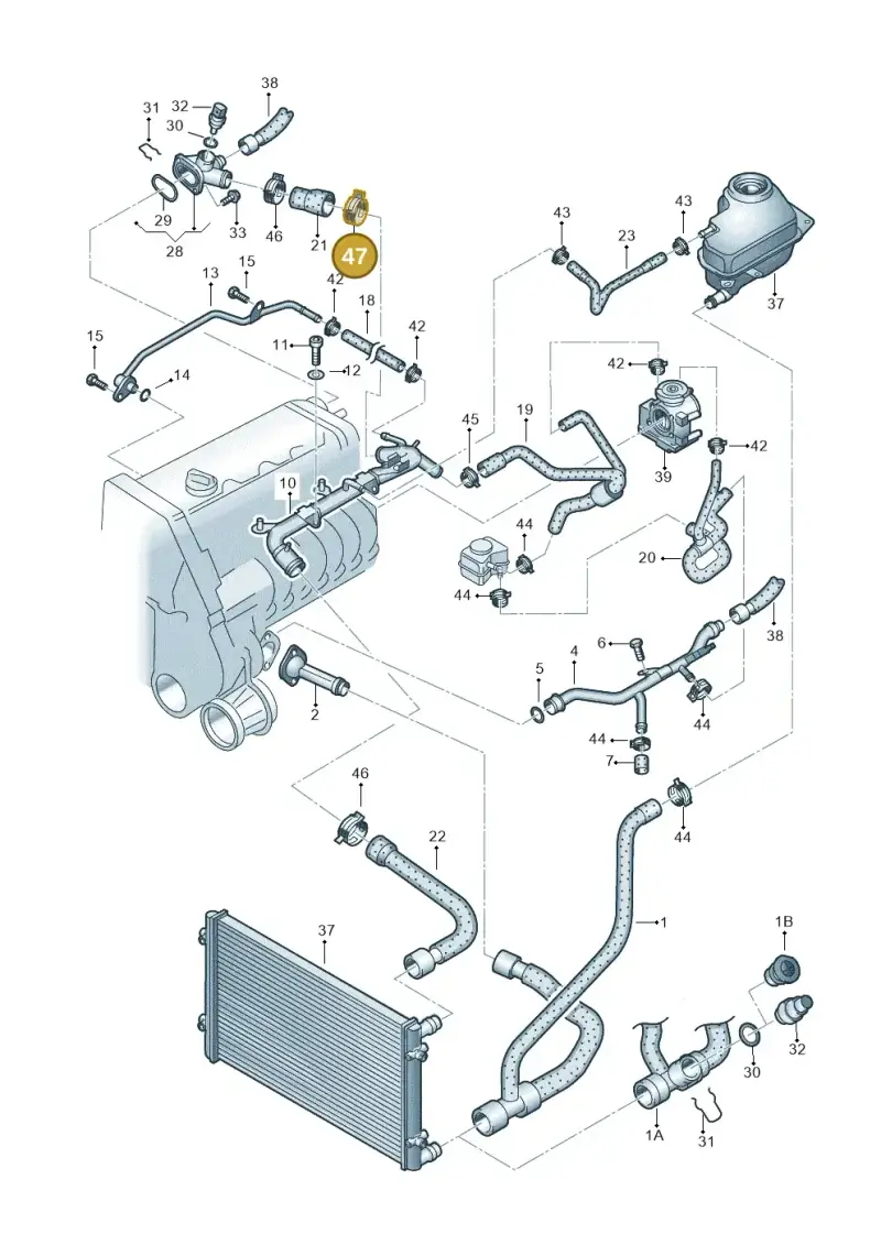 N10258001 — Volkswagen PASSAT/4MOTION/W8 (2002-2005) diagram 195121430, position 47