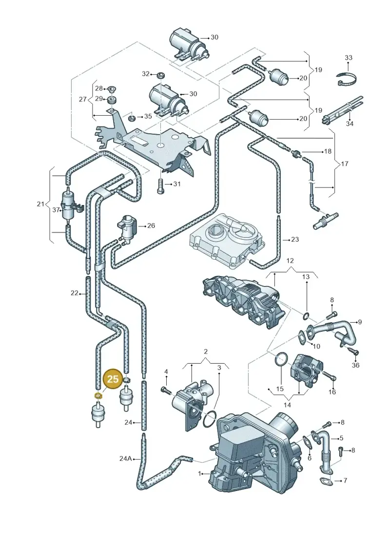 N10279301 — Volkswagen Caravelle (2015-2019) diagram 732131600, position 25