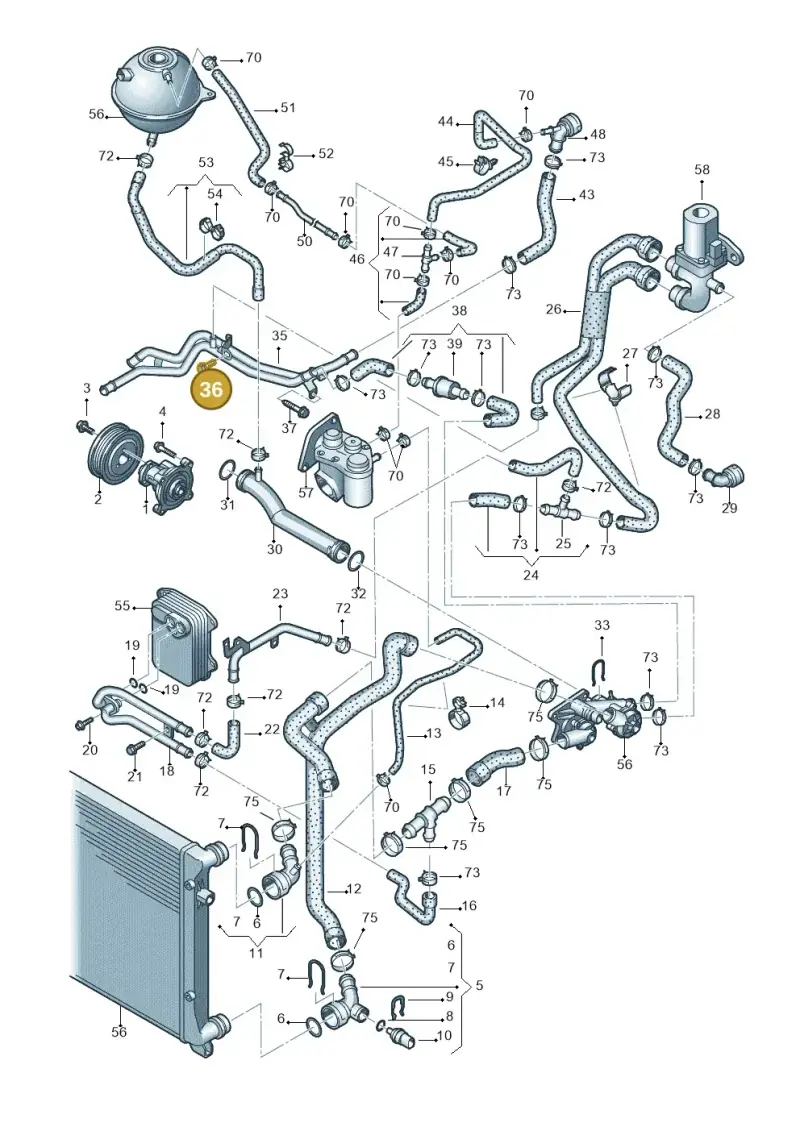 N10404306 — Volkswagen GOLF PLUS              08> (2007-) diagram 420121210, position 36