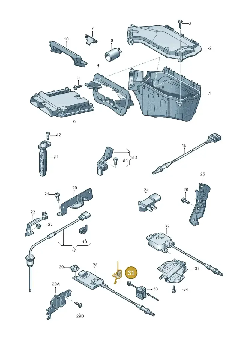 N10804401 — Audi A5 Sportback (2011-2017) diagram 736906050, position 31