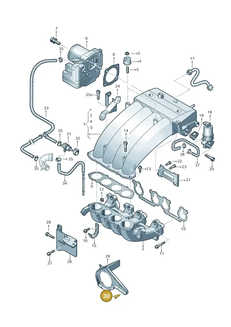 N90242804 — Volkswagen Sharan (2008-2010) diagram 244133100, position 30