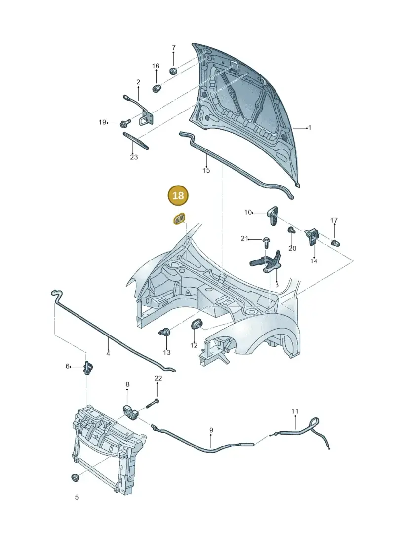 N90508801 — Volkswagen Beetle (2016-2019) diagram 801823100, position 18