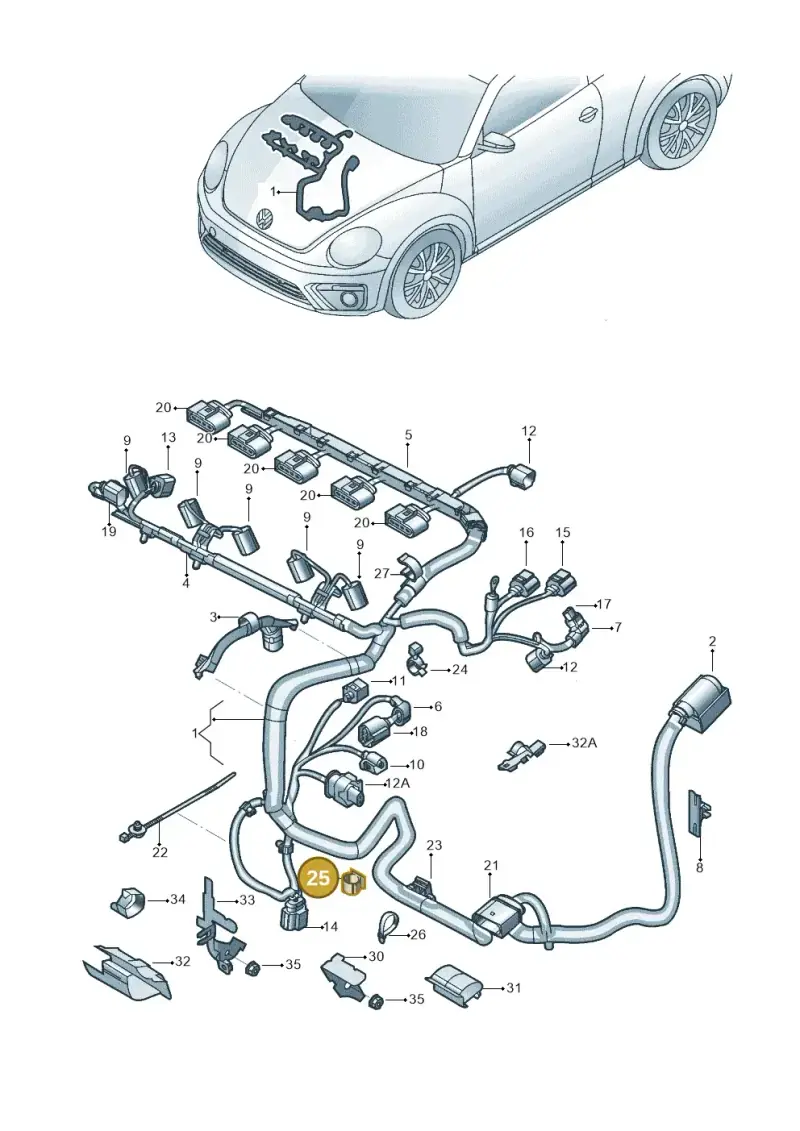 N90698101 — Volkswagen Beetle (2016-2019) diagram 801971170, position 25