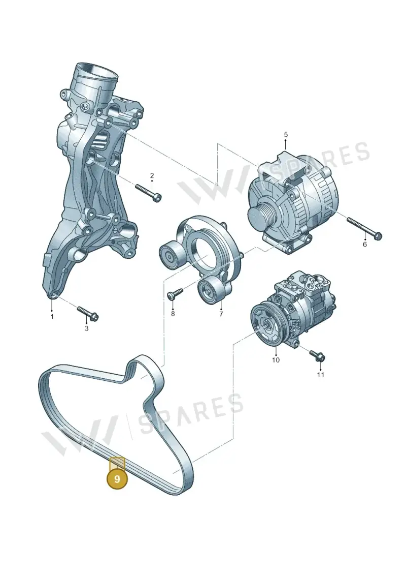 06N903137B Volkswagen Poly-V-Belt