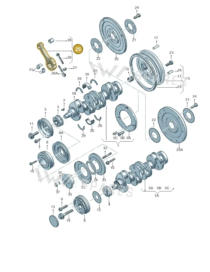 028198401F — Audi A4/Avant (1999-2001) diagram 123105150, position 25