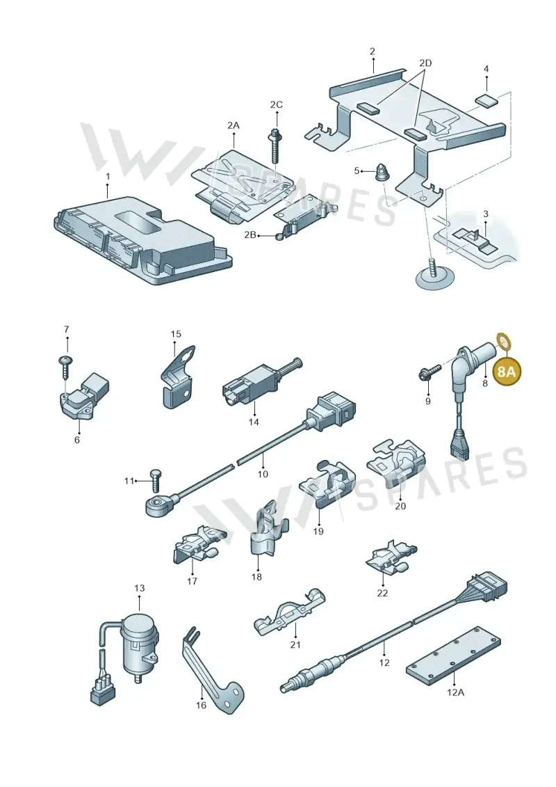 06A906445 — Audi TT Coupe/Roadster (2002-2006) diagram 229906000, position 8A