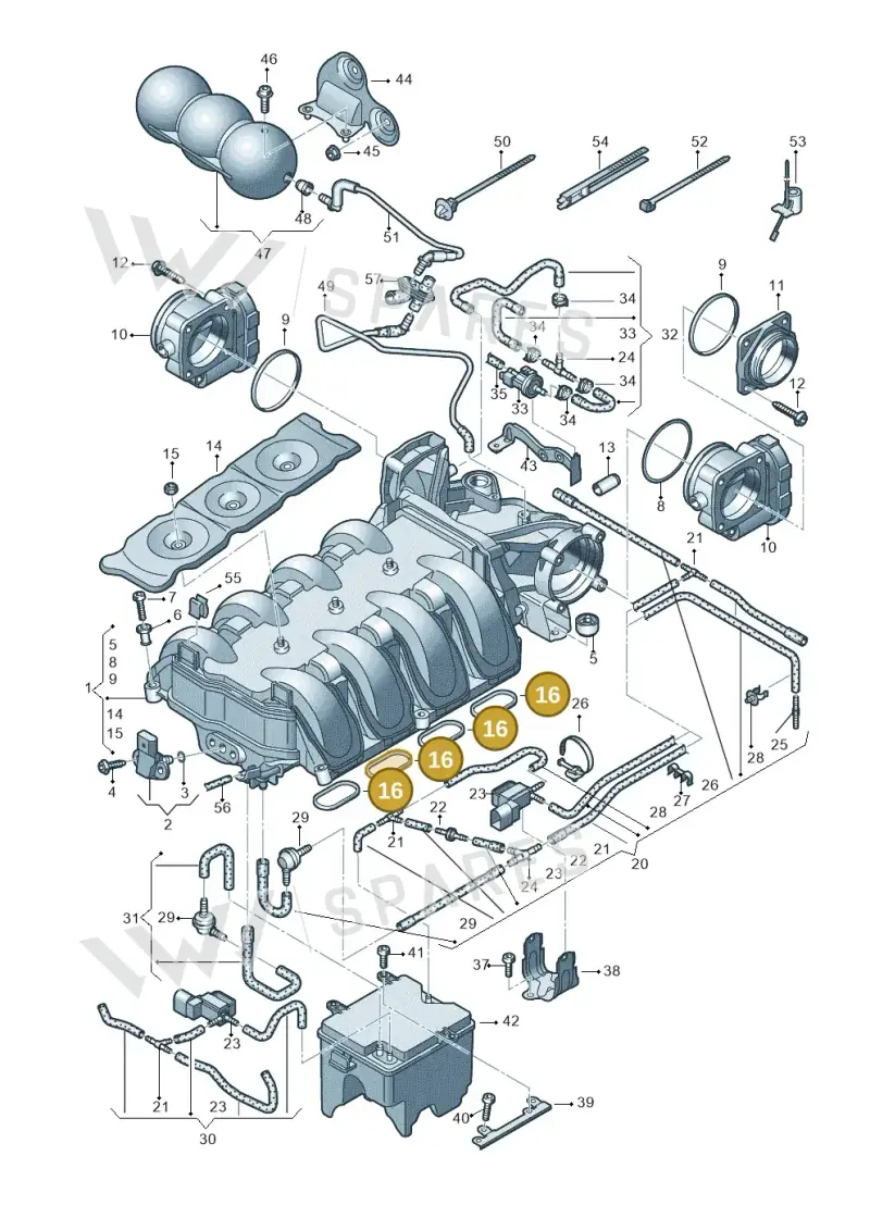 07L129717E — Audi RS4 Av. qu. 4.2 (2012-2015) diagram 695133200, position 16