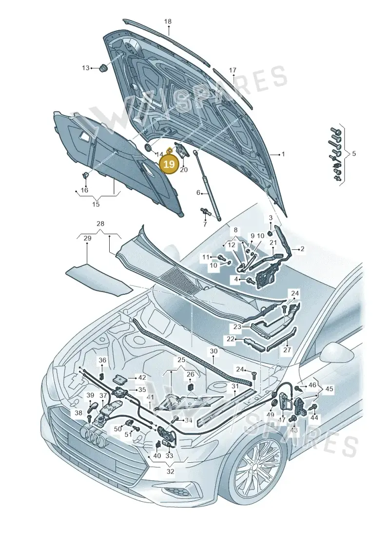 WHT001308 — Audi RS6 Avant (2019-) diagram 430823000, position 19