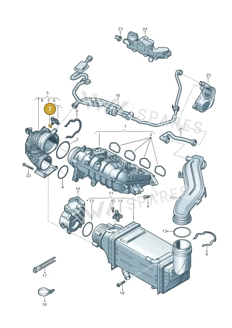 036906149D — SEAT Formentor TSI CUPRA (2020-) diagram 813133050, position 7