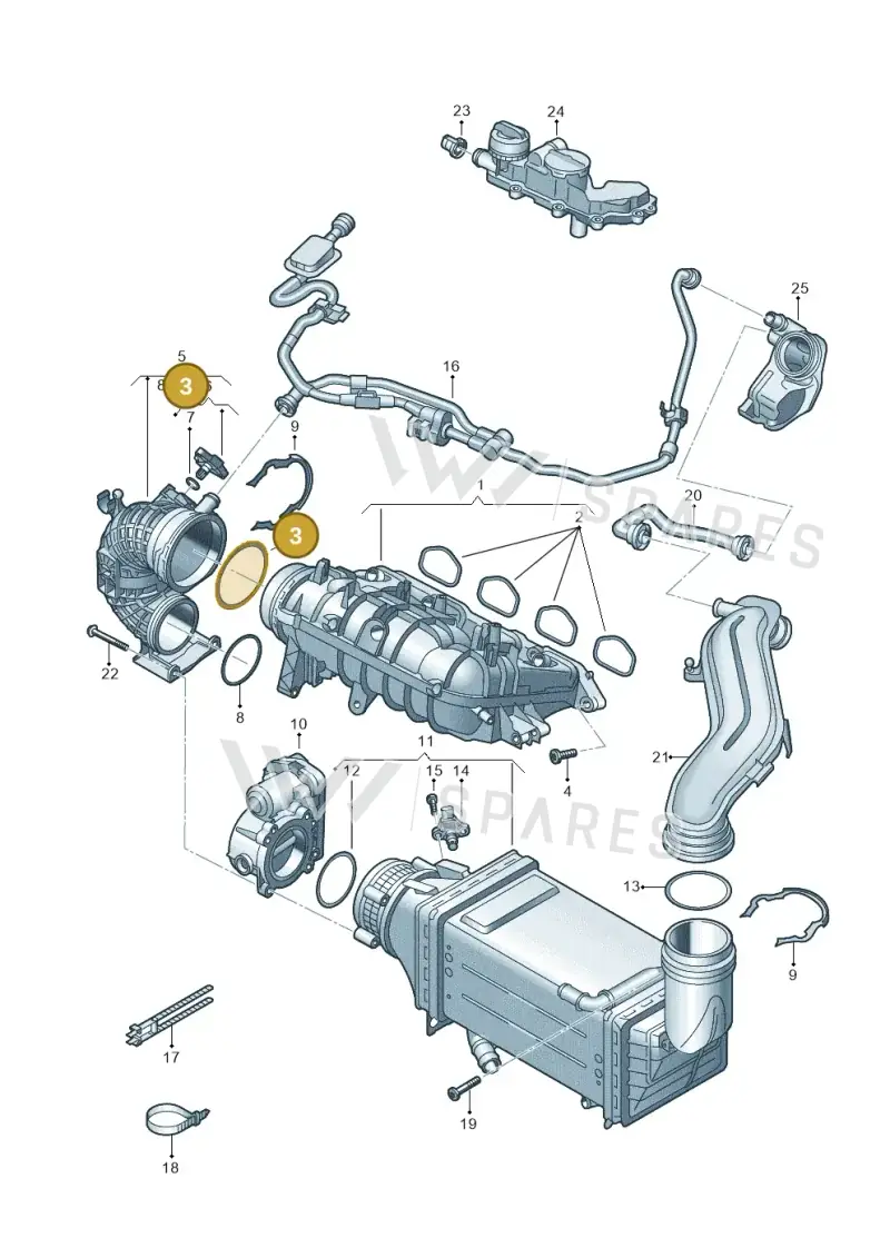 WHT003247 — SEAT Formentor TSI CUPRA (2020-) diagram 813133050, position 3