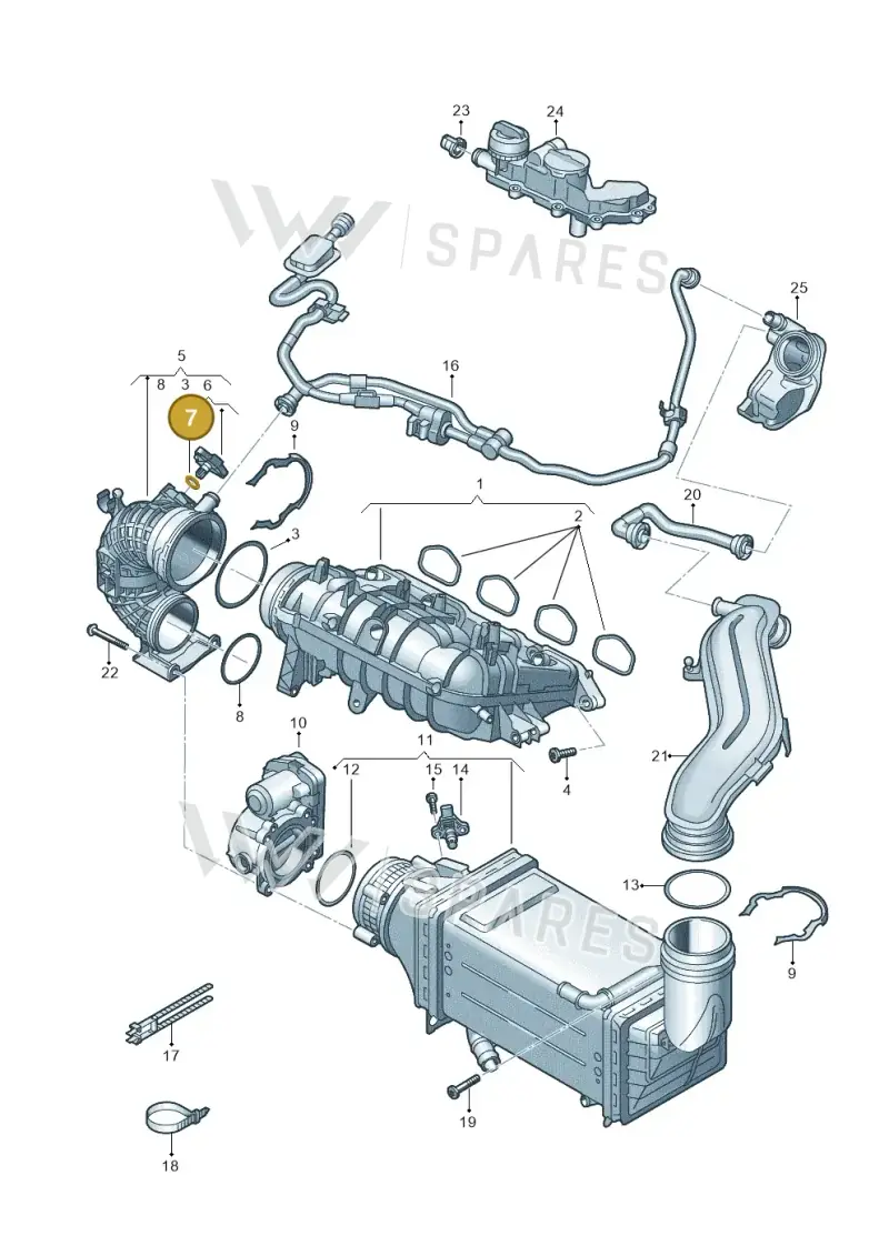 036906149D — Skoda Octavia (2019-2024) diagram 813133050, position 7