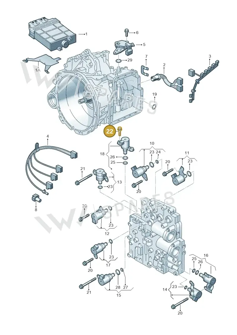 09A325061B — Volkswagen Sharan (2008-2010) diagram 244927600, position 22