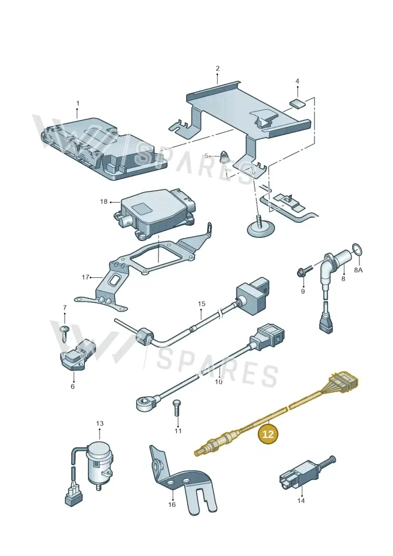 1K0998262F — Volkswagen New Beetle Cabrio. (2003-2005) diagram 194906000, position 12