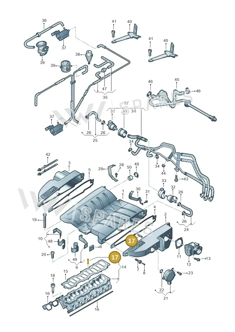 N10527801 — Volkswagen Phaeton (lang) (2003-2006) diagram 258133850, position 17