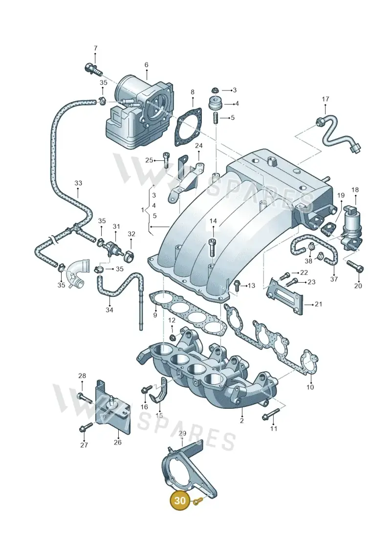N90242804 — Volkswagen Sharan (2008-2010) diagram 244133100, position 30