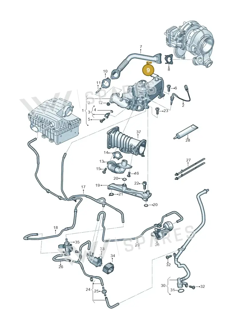 N91196201 — Volkswagen Amarok twin cab (2022-) diagram 894131700, position 9